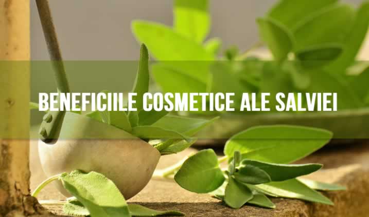 Beneficiile Cosmetice ale Salviei